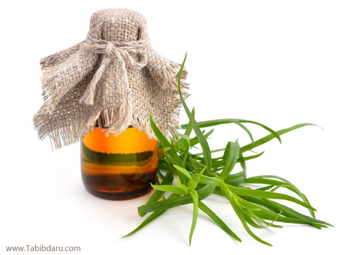 اسانس ترخون و خواص آن tarragon benefits