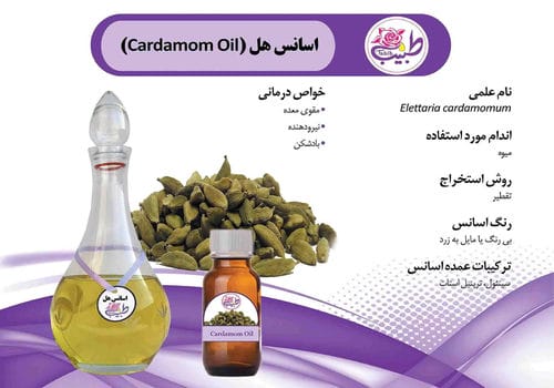 کاتالوگ محصولات-شماره41