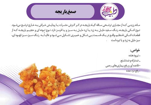 کاتالوگ محصولات-شماره16