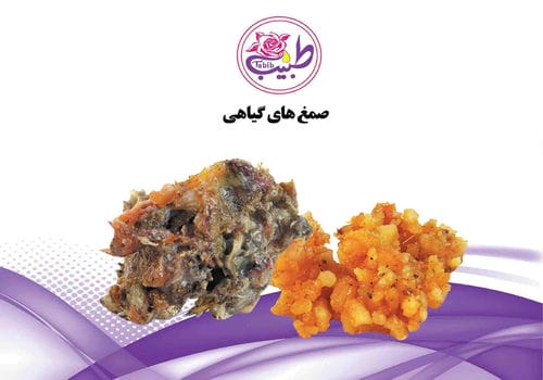 کاتالوگ محصولات-شماره18