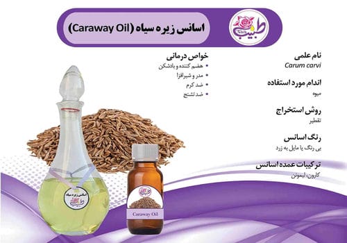 کاتالوگ محصولات-شماره56