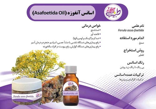کاتالوگ محصولات-شماره68