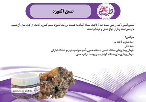 کاتالوگ محصولات-شماره17