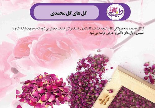کاتالوگ محصولات-شماره8