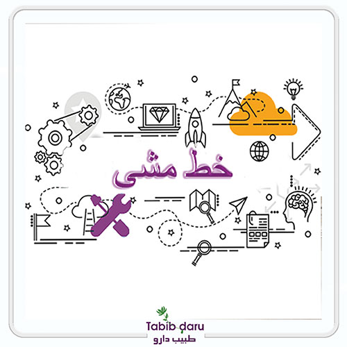 خط مشی